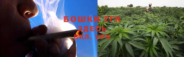 стаф Балахна