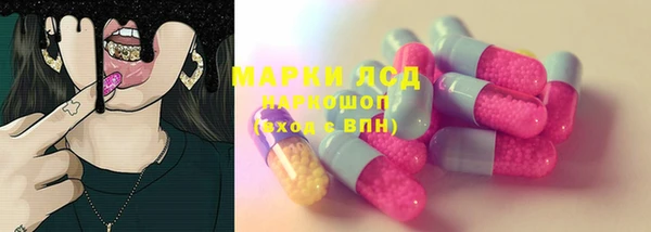 стаф Балахна