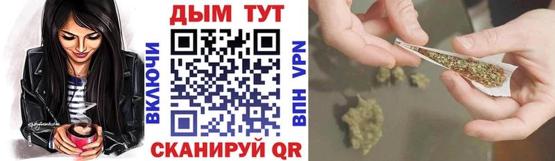 наркотики  ссылка на мегу   Конопля сатива  Рудня 